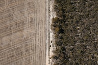 Aerial view of Dodgey Downs, which has been cleared for agriculture, and a neighbouring property covered in remnant vegetation.