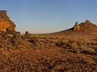 Boolcoomatta Station Reserve, SA. Photo Geoff Pinney.