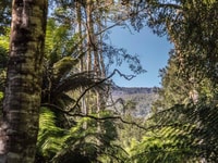 Drys Bluff viewed from Oura Oura Reserve.
