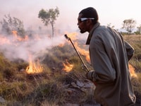 Uunguu Ranger Jason Adams conducting a cool burn. Photo Annette Ruzicka.