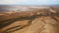 Creeklines on Pullen Pullen Reserve, Qld. Photo by Wild Vista Digital Productions.