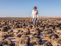 Dr Erica Suosaari walking among stromatolites at Hamelin Pool, WA. Photo by Annette Ruzicka.
