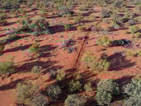 An aerial view of the pitfall trap line set up at Bon Bon Station.