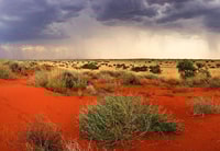A desert storm moves across Cravens Peak Reserve, Qld, at the end of a major boom event in 2011. Photo Dr Aaron Greenville.