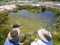 A natural artesian spring produces a pool of clear, shallow water at Edgbaston Reserve.