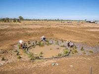 Students from the University of Queensland helping with vegetation around an artificial spring.