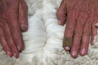 Hands part a fleece to show the fine texture of the wool.