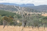 Natural areas on Kingston Farm.