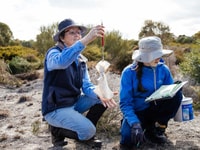 A volunteer assists ecologist Angela Sanders with baseline fauna monitoring on Monjebup Reserve, WA. Photo William Marwick.