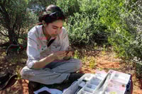 Aline Gibson-Vega working in the field. Photo Aline Gibson-Vega.