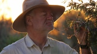 Richard McLellan with Sandalwood. Photo Shayne Thomson.