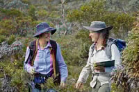 Libby Sandiford and Angela Sanders during a botany survey.