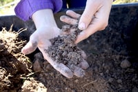 Ecologist Imogen Semmler assesses soil texture for Smart Farms project.