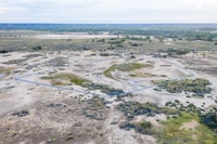 An aerial of the springs at Edgbaston Reserve. By Peter Wallis