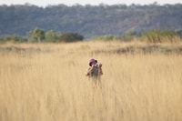 Dean Gilligan surveys fauna amongst Edgbaston’s grasslands. By Stephen Kearney