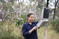 Daniella Teixeira checks one of the acoustic recorders at Yourka, Jirrbal & Warrungu Country. Photo by Eliza Herbert.