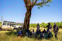Rangers and Elders enjoy shade and lunch beside Yajula. By Benjamin Broadwith