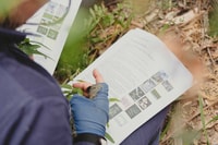 Ecological monitoring at Burrin Burrin Reserve.