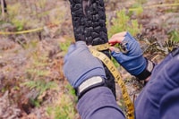 Ecological monitoring at Burrin Burrin Reserve.