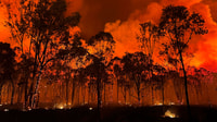 September 2024 bushfire on Carnarvon Station Reserve, Bidjara Country, Queensland. By Alistair Hartley