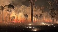 Bushfire on Carnarvon Station Reserve, Bidjara Country, Queensland. By Alistair Hartley