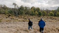 Pierre Defourny and Luke Rapley at Plassey in the Tasmanian Midlands.