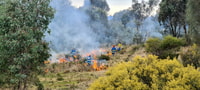 A cultural burn is carried out at Tarcutta Reserve. Photo Vikki Parsley.