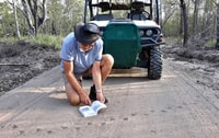 Volunteer John Wybrow examining animal tracks on a sandy path.