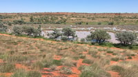 A dune swale ephemeral wetland on Pilungah Reserve,