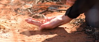 A Spinifex Hopping Mouse is released at Hamelin Reserve.