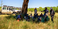 RS35718 karajarri under tree