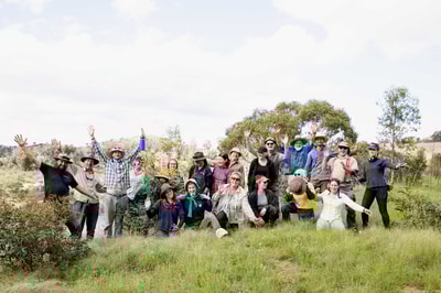 Volunteers and staff at a replanting day at Scottsdale Reserve, NSW.