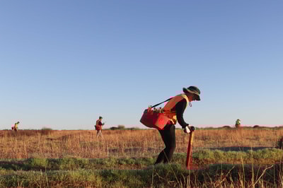 Planting one million trees on Eurardy Reserve.