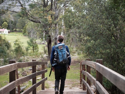 Walking away away over bridge in Liffey Valley TAS. Photo Daniel Peek