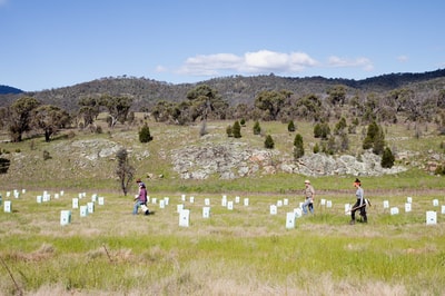 Four people in various shades of colourful, outdoorsy clothing walk across an open, grassy plain dotted with tree guards.