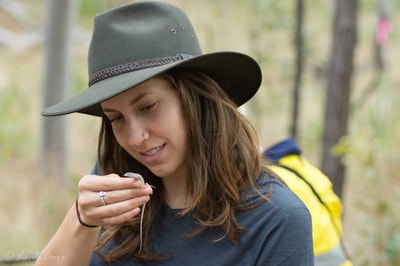 Student Mercedes Pisano during fauna survey on Yourka Reserve. Photo Leah Carr