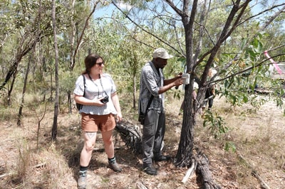 Field trip to install acoustic recorders for bird identification on Yourka Reserve. Photo Lenn Isidore
