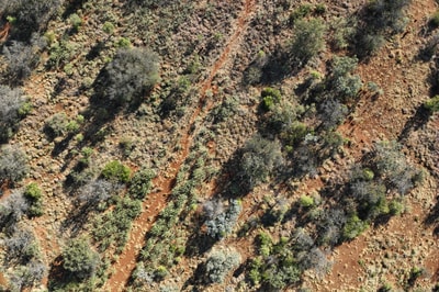 High above Anthony Lagoon Station which is managed by AACo, in the Northern Territory, Wampaya Country. By Ben Galea.