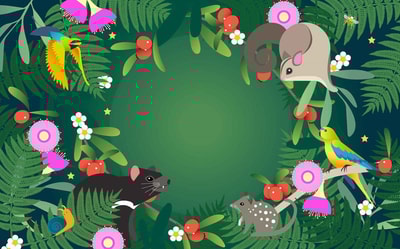 Illustration of various native animals in a green forest.