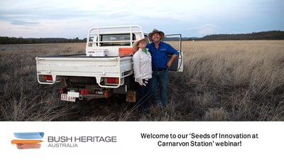 Seeds carnarvon