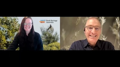 Buffel grass webinar