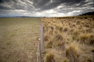 Fence line between Bush Heritage reserve and neighbouring grazing land.