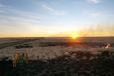 Cool burns late in the afternoon were self extinguishing in the cool night air.