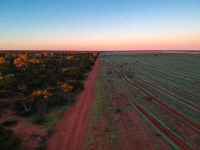 Eurardy Reserve on Nhanda country is the site of our 1 Million Trees project funded by Volkswagen donation.