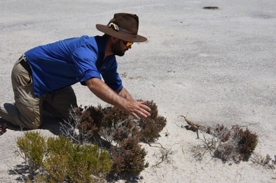 Ben Parkhurst capturing a Claypan Dragon at Charles Darwin Reserve.