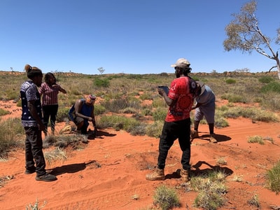 Sebastian Williams, Shonte Thomas, Austin Patch, Duran Patch and Tremaine Anderson setting up a camera to monitor cats and foxes.