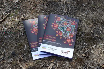 Wurreka Galkangu Plan. Photo Ange Thalasinos.