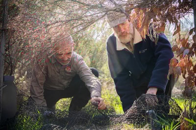 James Smith and Rod Brindley inspect one of the HAND traps on French Island.