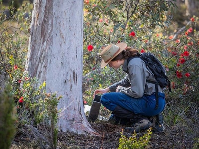 Riannon De Visser checking a trap at Kojonup.