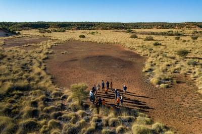 Pullen Pullen Night Parrot workshop.